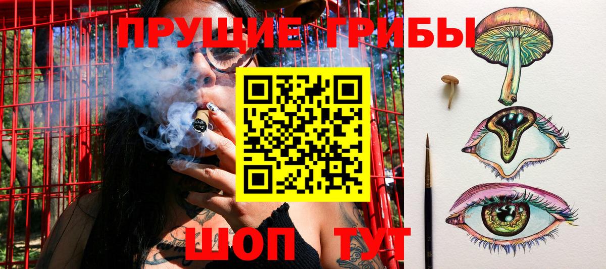 Галлюциногенные грибы GOLDEN TEACHER Бийск