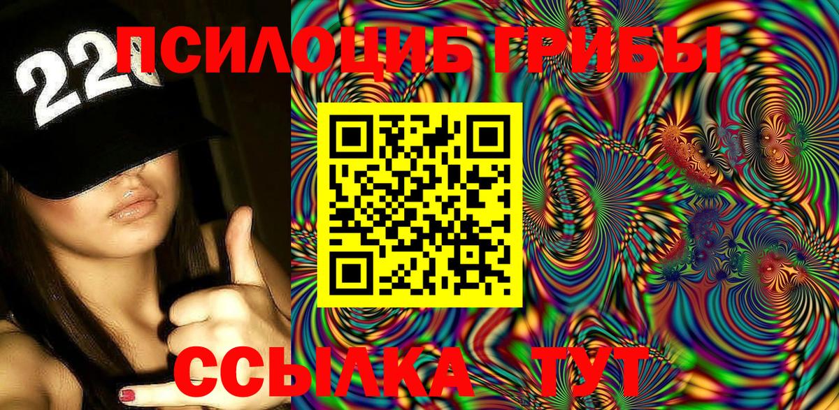 Бийск  Псилоцибиновые грибы Psilocybine cubensis  наркошоп  Вход с VPN 