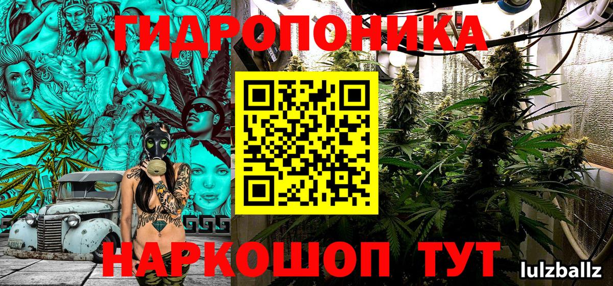 Канабис семена Бийск